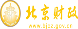 爱操视频北京市财政局